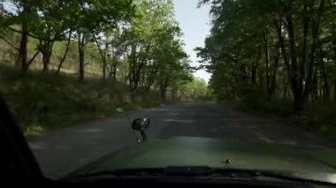 Arabanın ön camından görüntüyü al. Büyük yeşil bir cip, güzel manzaralı asfalt bir köy yolunda ilerliyor. Araba turizmi.