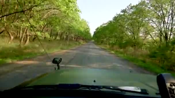 Blick Aus Der Frontscheibe Des Autos Ein Großer Grüner Jeep — Stockvideo