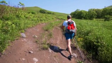 2019 yazında, Primorsky Krai, Rusya 'da yürüyüş direkleri olan genç bir erkek turist yeşil bir alanda toprak bir yolda yürüyor..