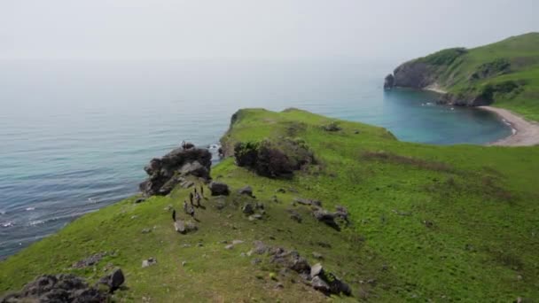 Léto 2019 Primorský Kraj Rusko Zpomalený Pohyb Skupina Turistů Kráčí — Stock video