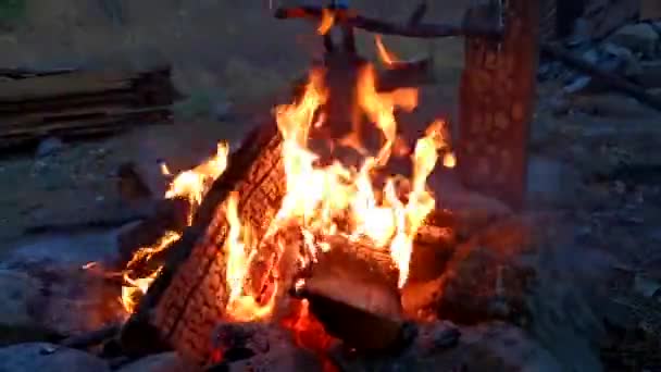 Close Bonfire Forest Neatly Stacked Chopped Logs Slowmo Shooting — Stock Video