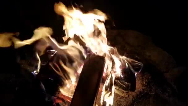 Close Bonfire Forest Neatly Stacked Chopped Logs Slowmo Shooting — Stock Video