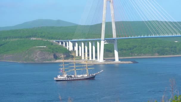 Verão 2020 Vladivostok Rússia Navio Treinamento Pallada Passa Longo Estreito — Vídeo de Stock