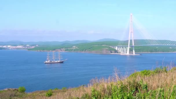 Ein Schöner Dreimaster Fährt Unter Der Russischen Brücke Wladiwostok Vor — Stockvideo