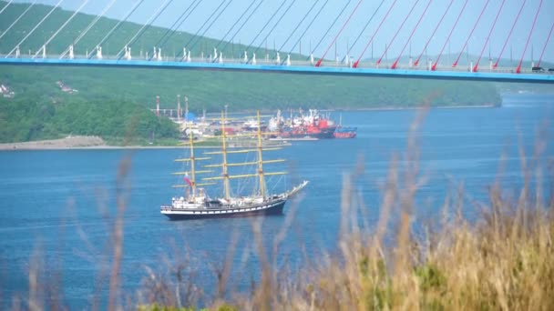 Verano 2020 Vladivostok Rusia Barco Vela Entrenamiento Pallada Pasa Largo — Vídeos de Stock