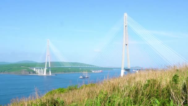 Ein Schöner Dreimaster Fährt Unter Der Russischen Brücke Wladiwostok Vor — Stockvideo