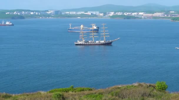 Sommer 2020 Wladiwostok Russland Ein Segelschulschiff Pallada Passiert Die Straße — Stockvideo