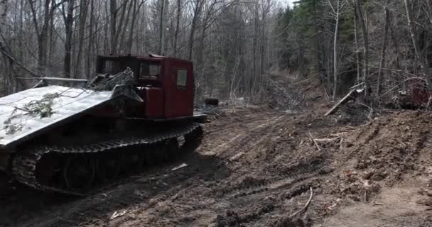 Close Old Tractor Rides Muddy Forest Road Thicket Forest Cut — Stock Video