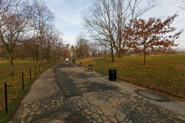 Washington DC 'deki Constitution Park' taki rahat patika.
