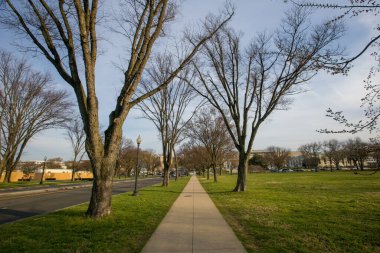 2016 Baharı - Washington DC, ABD - Boş manikürlü kaldırım: verüre gömülmüş, Washington DC şehir merkezi