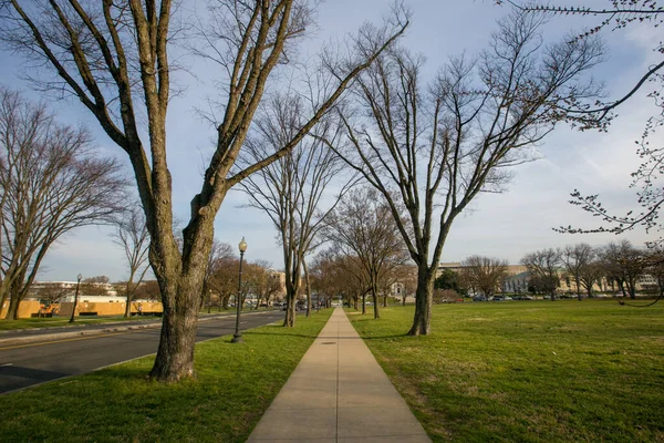 2016 Baharı - Washington DC, ABD - Boş manikürlü kaldırım: verüre gömülmüş, Washington DC şehir merkezi