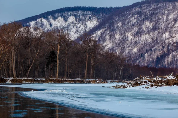 Primorsky bölgesinin kuzey manzarası, Samarga Nehri. Gün batımında ağaçlı tepelerin arka planında donmuş nehir.