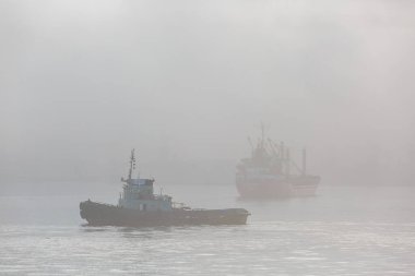 Yoğun sis sırasında Vladivostok 'taki Golden Horn Körfezi' nde çeşitli ticaret gemileri yol kenarında duruyor.