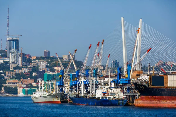 Verano 2016 Vladivostok Rusia Puerto Vladivostok Posavasos Comerciales Están Cargando — Foto de Stock