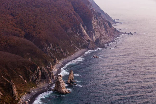 Sichote-Alin Biosfeerreservaat in het Primorsky Territory. Panoramisch uitzicht op de rotskust van het natuurreservaat tijdens de roze zonsopgang — Stockfoto