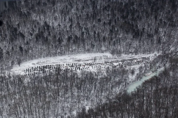 Blick von oben. Winter-Nadelwald, von einem Hubschrauber eingefangen — Stockfoto
