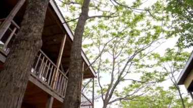 2020 yazında Vityaz, Primorsky Bölgesi Vityaz köyündeki dinlenme merkezinin bölgesi. Kamera misafir evlerini ve dinlenme merkezinin bölgesini gösteriyor.