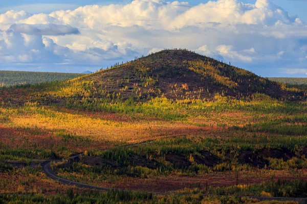 Helle Niedrige Hügel Der Tundra Bedeckt Mit Gras Und Bunten — Stockfoto