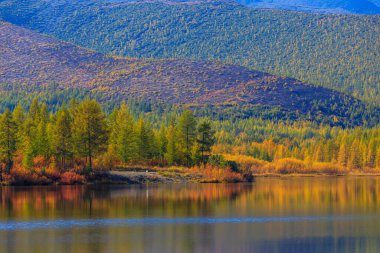 Parlak sonbahar ağaçları güzel bir gölde yansıtılır.