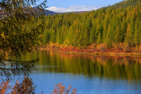Árboles Otoño Brillantes Reflejan Hermoso Lago Pintoresco — Foto de Stock