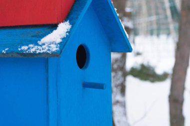 City Park ağaçlarda çok renkli kuş evleri.