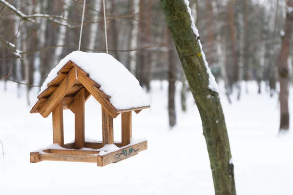 Alimentatore Uccelli Albero Nel Parco Cittadino Inverno Copia Spazio — Foto Stock