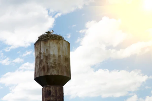 Cigüeña Del Nido Antigua Torre Agua Contra Cielo Copiar Espacio — Foto de Stock