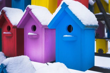 Kuşlar için apartman. Güzel çok renkli kuş evleri.