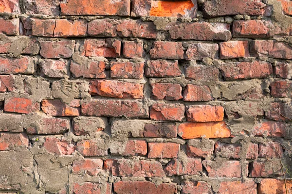Arka plan texturered tuğla duvar. Yazıtlar veya reklamları için duvara yakın koydu.