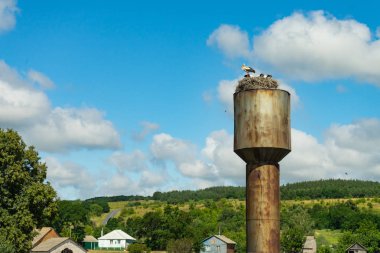 Leylek eski su kulesine iç içe. Gökyüzüne karşı. Kopya alanı