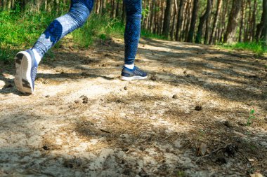 Sabah tropikal orman iz üzerinde çalışan genç fitness kadın runner bacaklar. Kopya alanı.