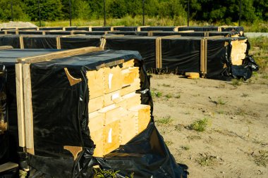 Paletler profilli polietilen uzmanlık bir ahşap ev yapımı için Paketli. Kopyala Yapıştır