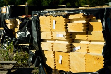 Paletler profilli polietilen uzmanlık bir ahşap ev yapımı için Paketli. Kopyala Yapıştır