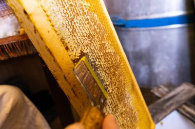 Peteğin çıktısını, açılış için aracı peteğin. Kopyala Yapıştır