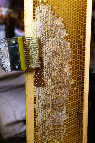 Printout of honeycombs, tool for opening honeycombs — Stock Photo, Image