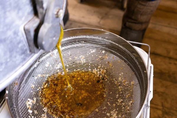 Fresh honey pouring out from the honey extractor — Stock Photo, Image