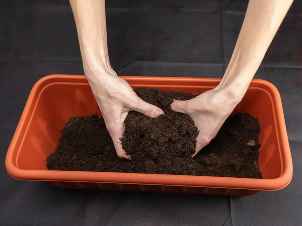 Terreno nelle mani delle donne, vaso di fiori di plastica . — Foto Stock