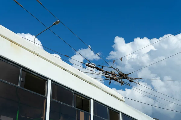 Napowietrzne sieci jezdne, część napowietrznych urządzeń linii pasażerskiej miejskiej magistrali elektrycznej. System elektryfikacji — Zdjęcie stockowe