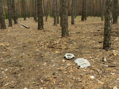Ormandaki çöpler. İnsanlar yasadışı olarak ormana çöp attılar. İnsan ve doğa kavramı.