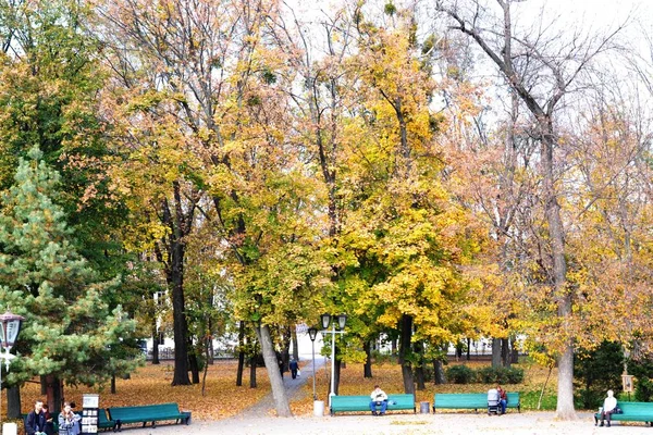 Park Połtawie Drzew Żółtych Zielonych Liści Ławki Osób Odpoczynku — Zdjęcie stockowe
