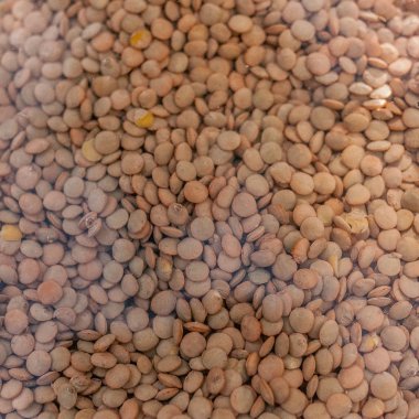 Sağlıklı renkli organik mercimek baklagil