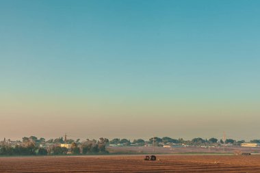 Çayır iyi hasat ile büyüyen Sunny