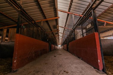 İçinin boş cowshed. Tarım sanayi, tarım ve Hayvancılık 