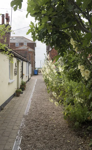 Uno Stretto Passaggio Con Hollyhocks Giallo Nella Città Southwold Suffolk — Foto Stock