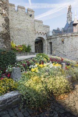 Cochem Castle, Almanya içinde avluda çiçekler