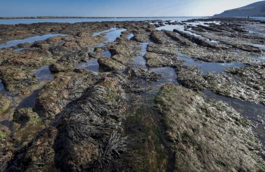 kaya oluşumları deniz kenarı