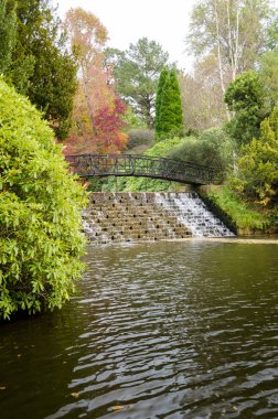 Sonbaharda Su Şelalesi