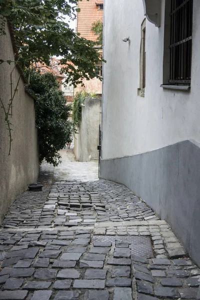 Kopfsteinpflasterstraße, Bratislava, Slowakei — Stockfoto