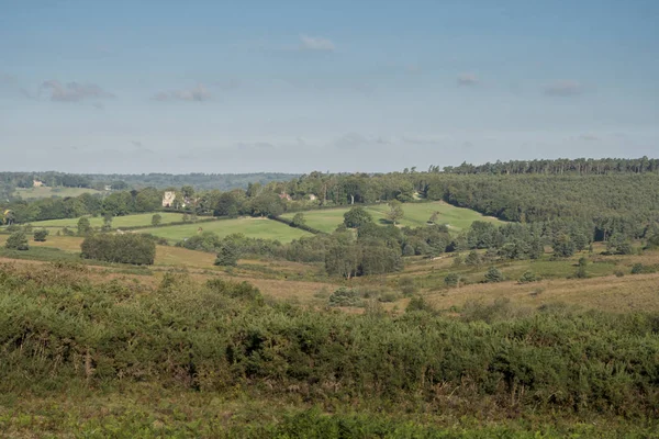 Ashdown Fores, East Sussex, Reino Unido —  Fotos de Stock