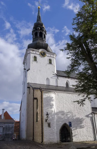 Домская церковь Таллинна — стоковое фото